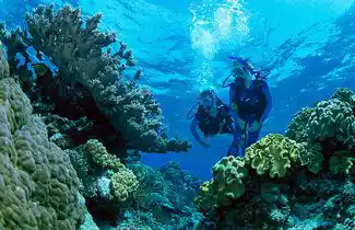 水肺潜水